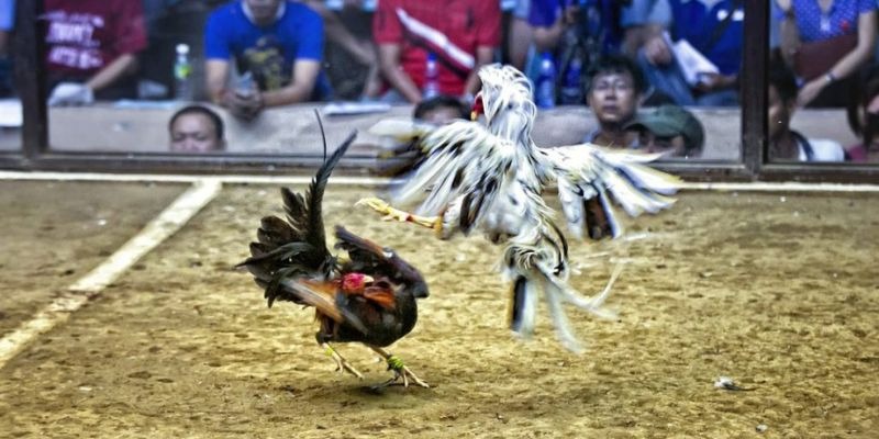 kudv ﻿đăng nhập lô đề uy tín