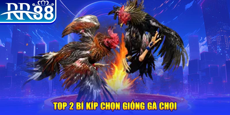 kudv bắn cá h5