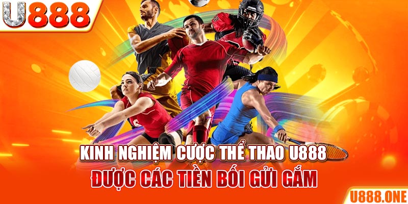 kudv ÁT CHỦ BÀI GIÀNH LẤY ZHUANG NIUNIU ( XEM 3 LÁ )
