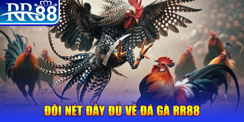 kudv gà chọi hoà phong