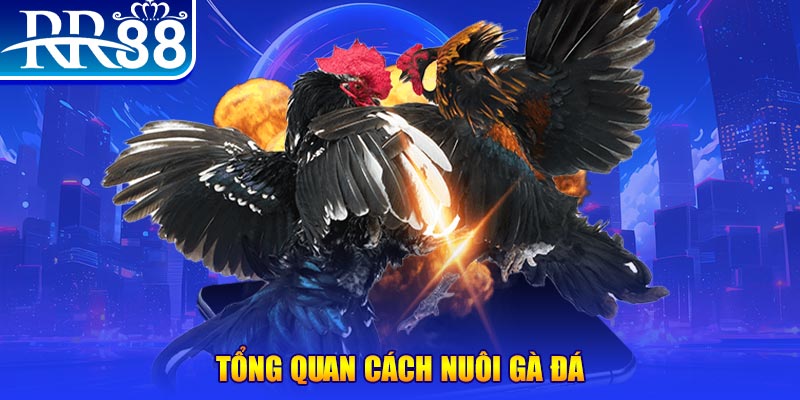 kudv xổ số thứ ba