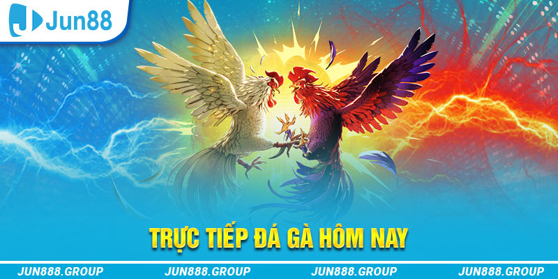 kudv trực tiếp đá gà thomo