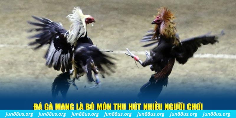 kudv xổ số long an