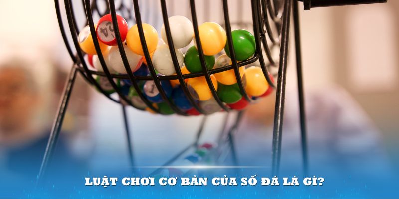 kudv Đĩa màu ace