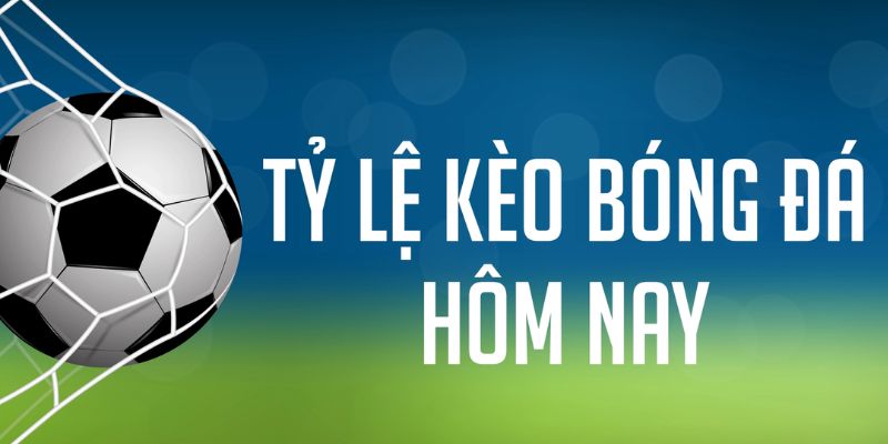 kudv ÁT CHỦ MÁY HOA QUẢ THẦN TÀI