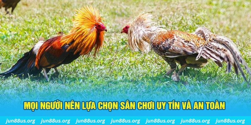 kudv Tài Xỉu