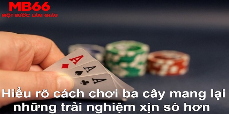 kudv DB Trực Tuyến